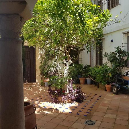 Casa Patio Los Suenos De Daury II قرطبة المظهر الخارجي الصورة